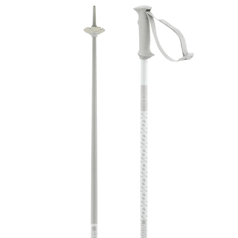 POLAR ACCESS SKI POLES
