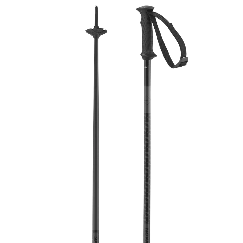 POLAR ACCESS SKI POLES