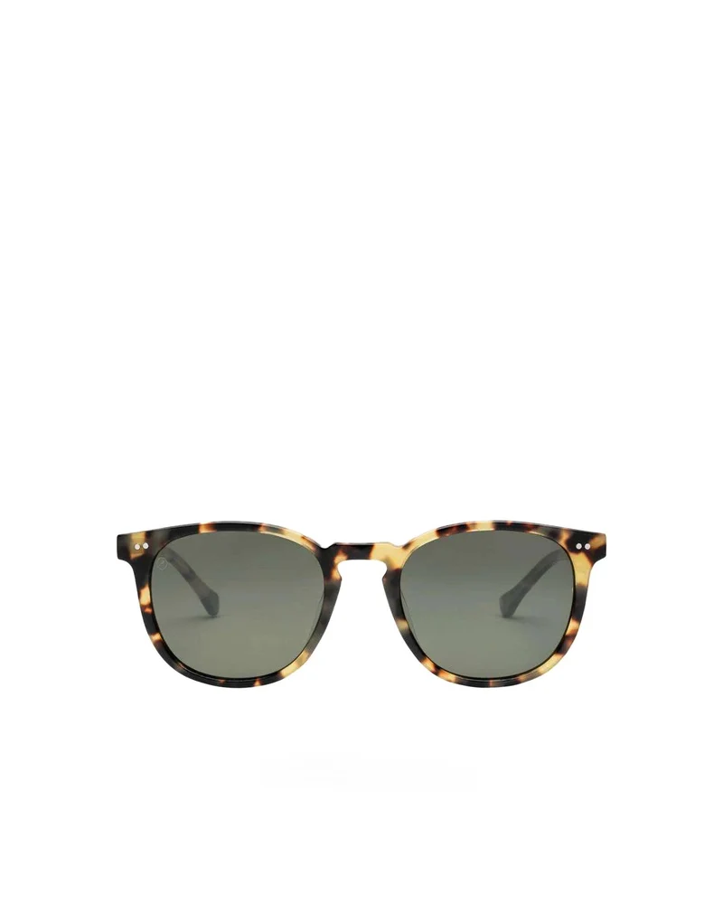 Electric Oak Gloss Spotted Tortoise / Grey Polarized