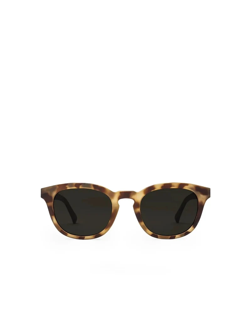 Electric Bellevue Tort Black / Grey Polarized