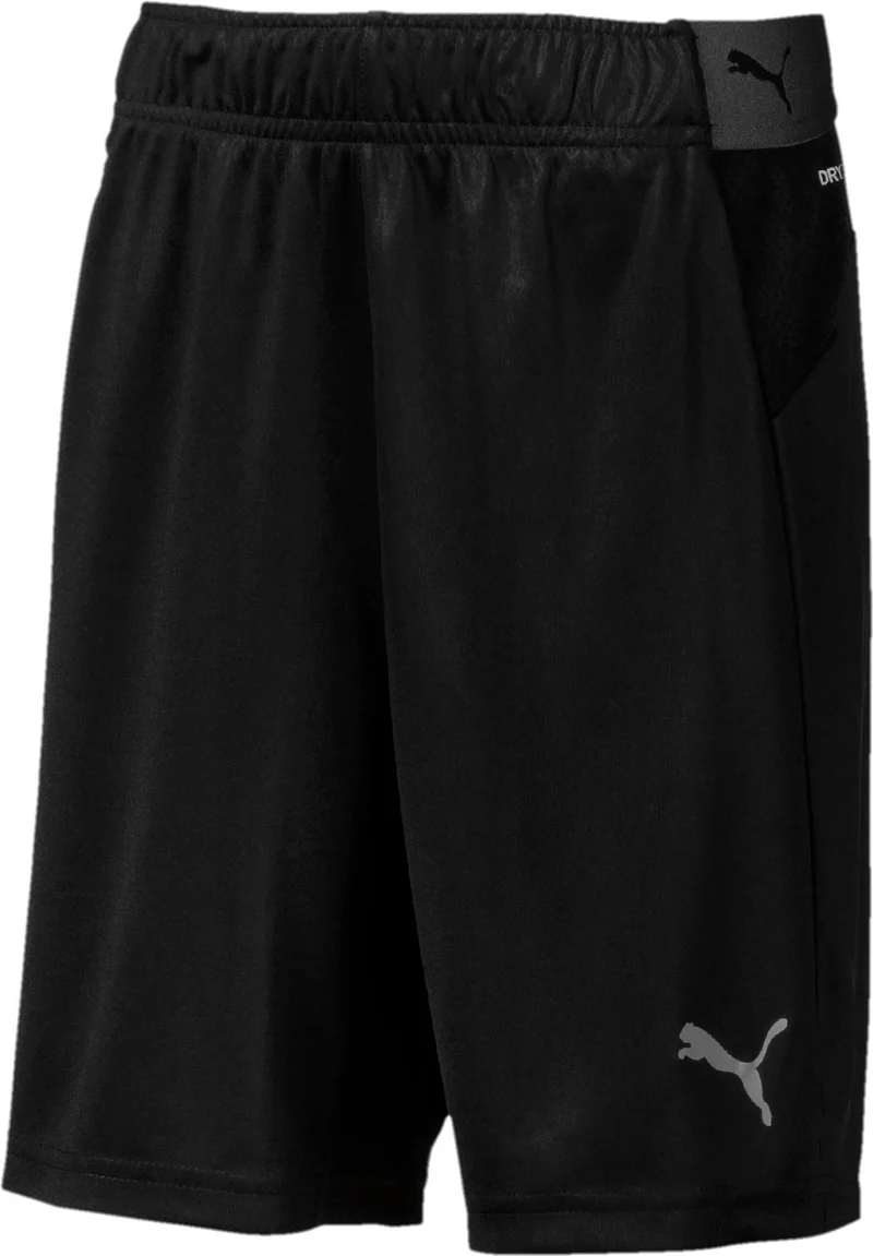 ftblnxt shorts jr