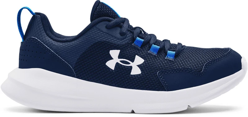 Ua Bgs Essential